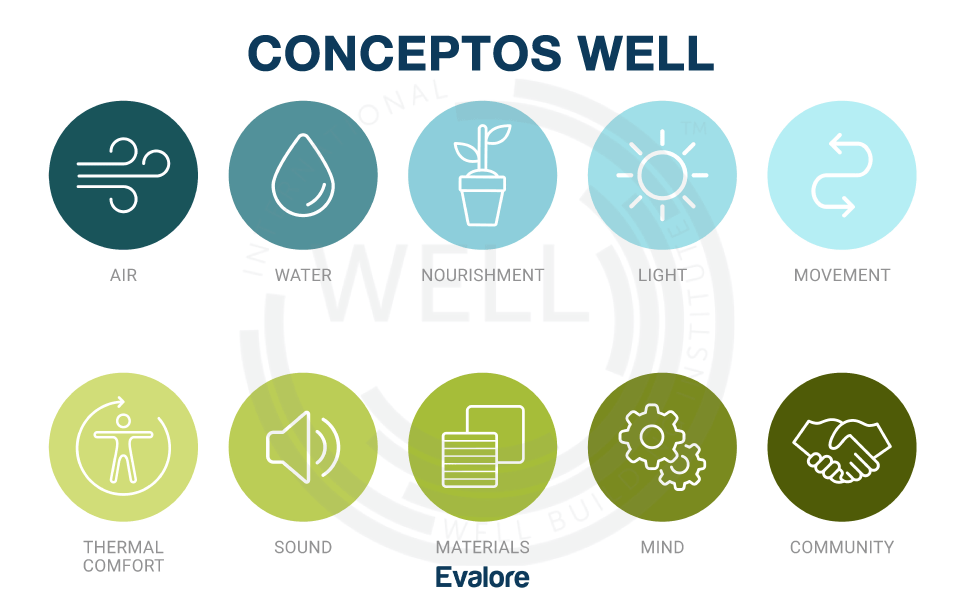 wellness concepts